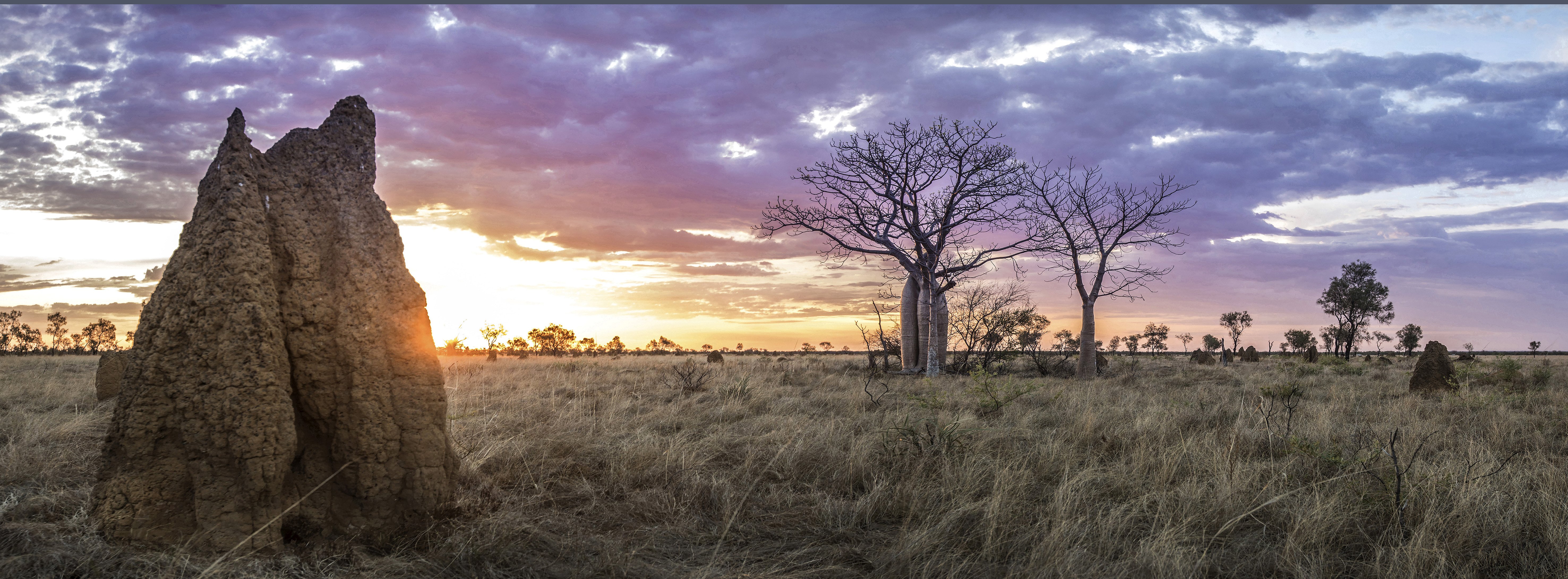 Kimberley & Martuwarra