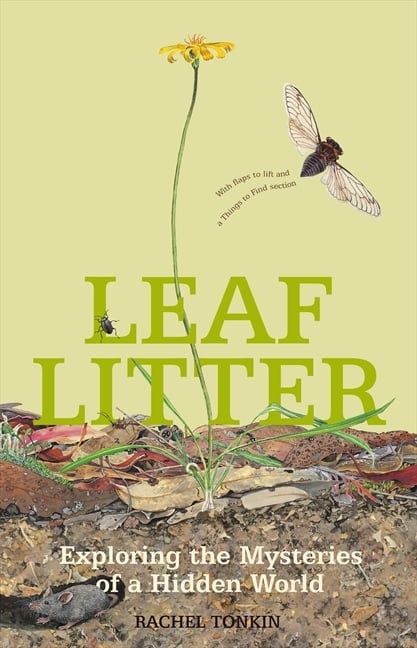 Leaf Litter