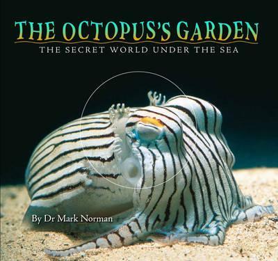 The Octopus’s Garden: The Secret World Under the Sea