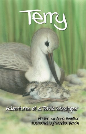 Terry: Adventures of a Terek Sandpiper