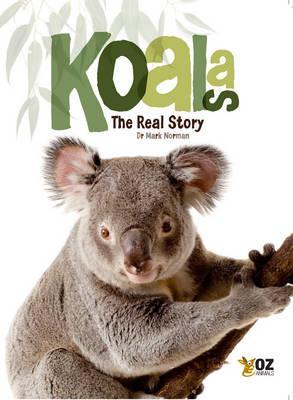 Koalas: The Real Story