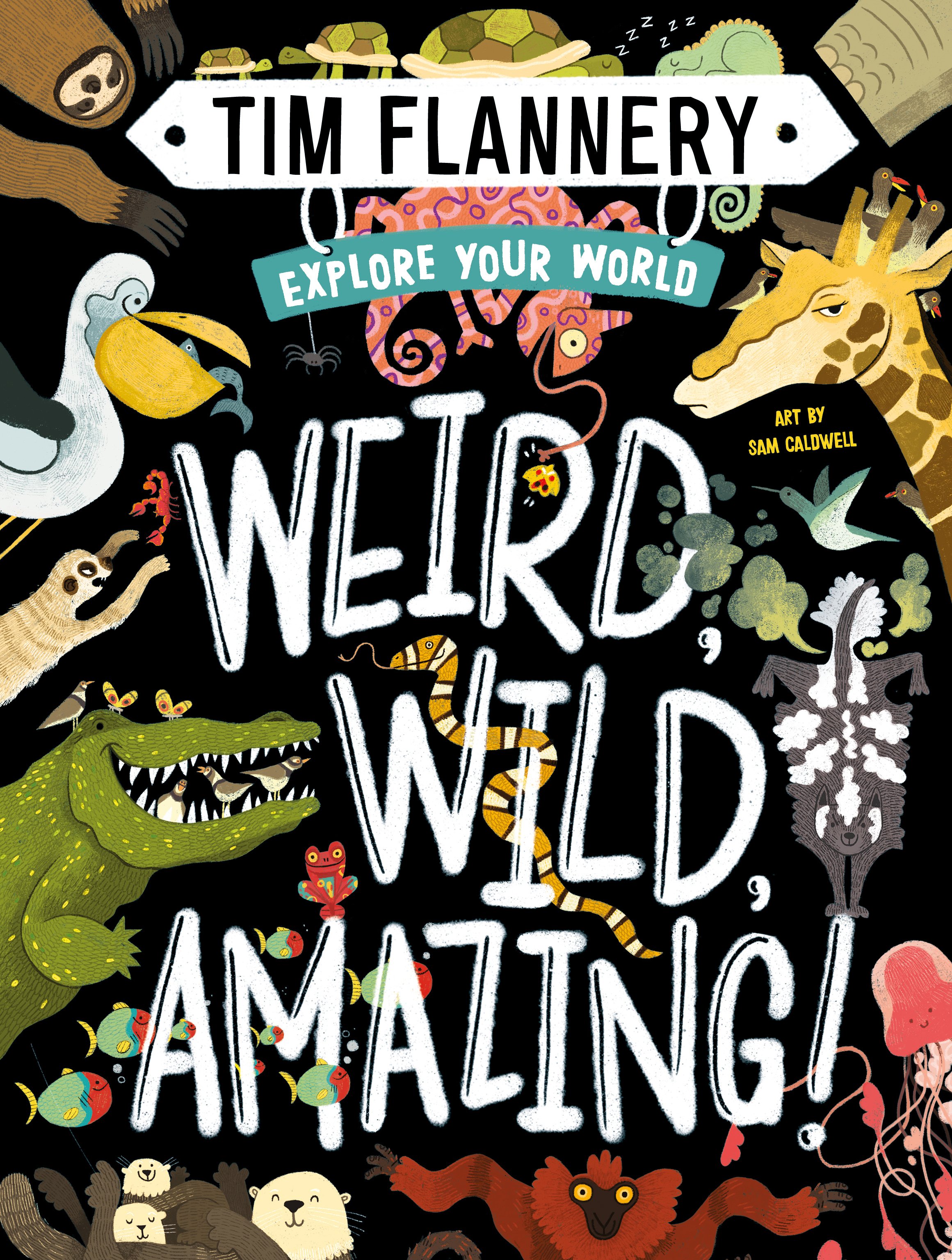 Explore Your World: Weird, Wild, Amazing!