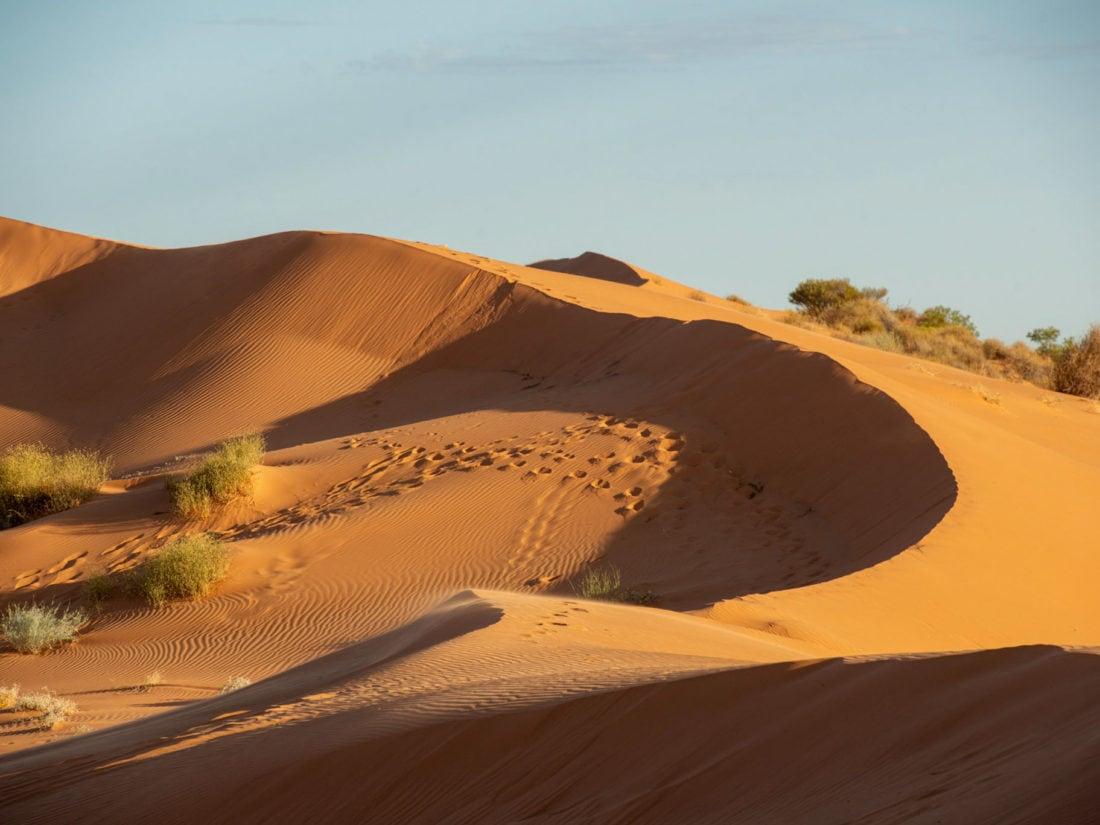 Photo: This vast, intact wilderness is one of the world's best examples of parallel dunal desert