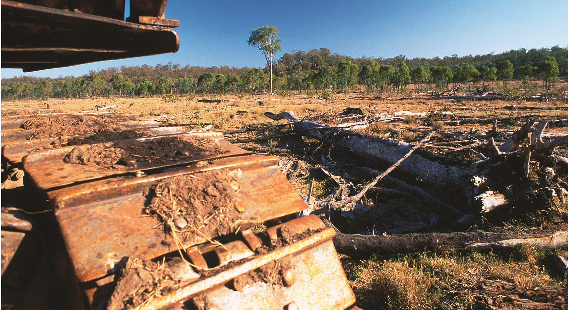 Find out what is driving deforestation in Queensland