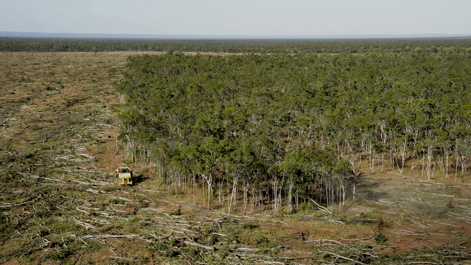 Take deforestation off the menu