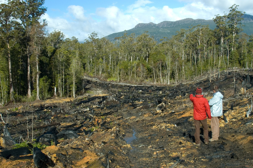 ‘Sustainable’ Timber Tasmania’s Second… Wilderness Society