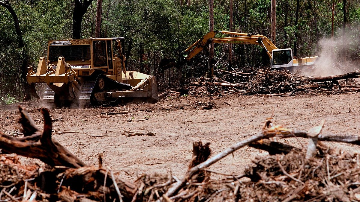 Deforestation and land clearing in Queensland