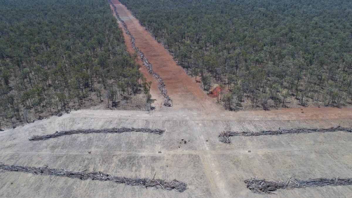10 facts about deforestation in Australia