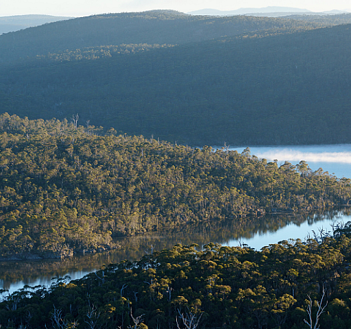 The Examiner - Decision looms in battle over Tasmania's wild heart