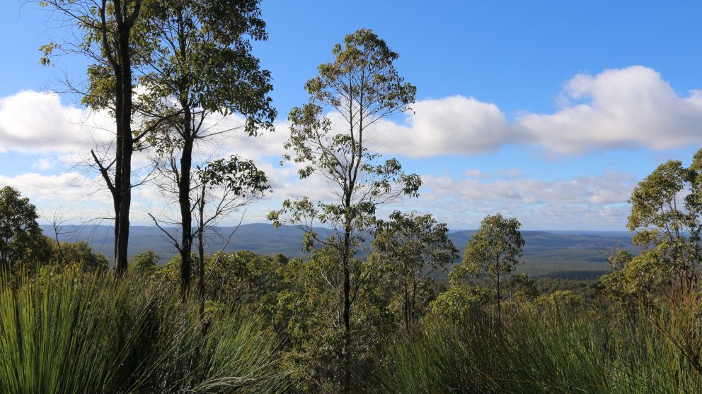 Wilderness Society My favourite walks Jarrah Forests, WA