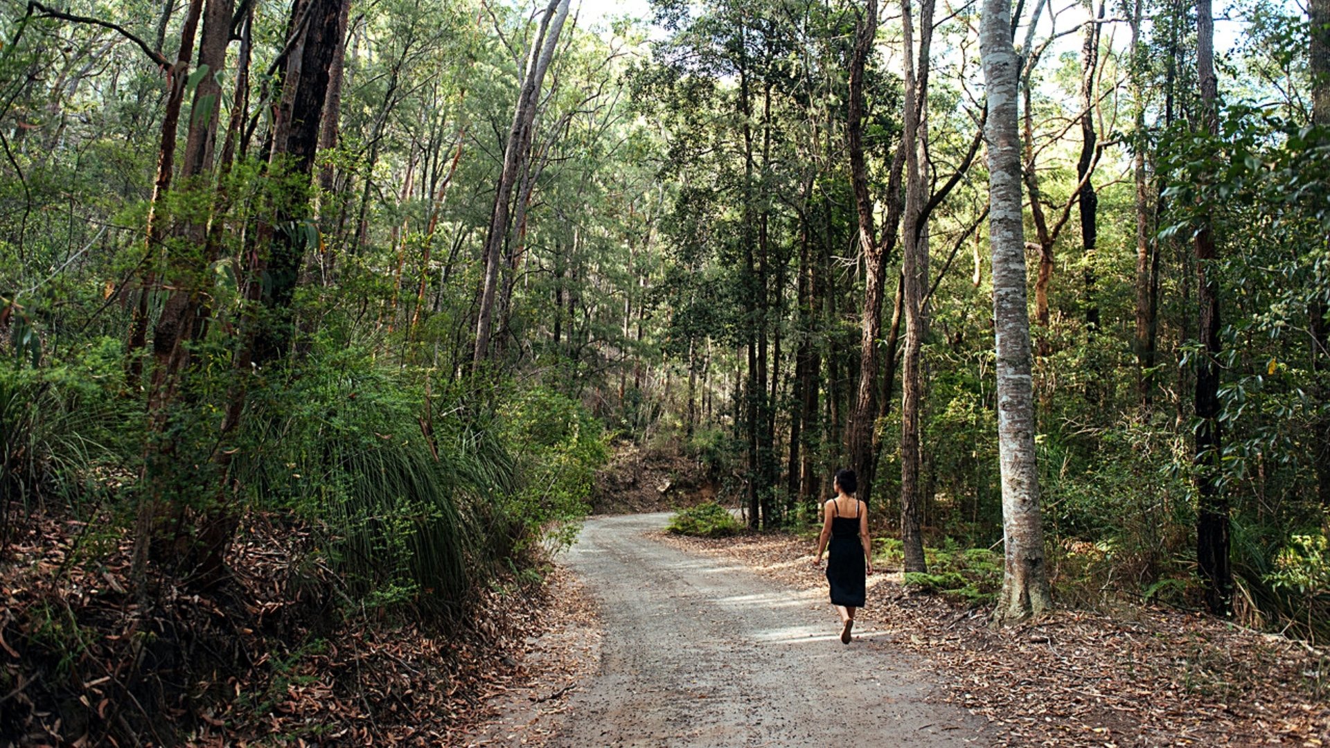 Make 2021 a better year for nature