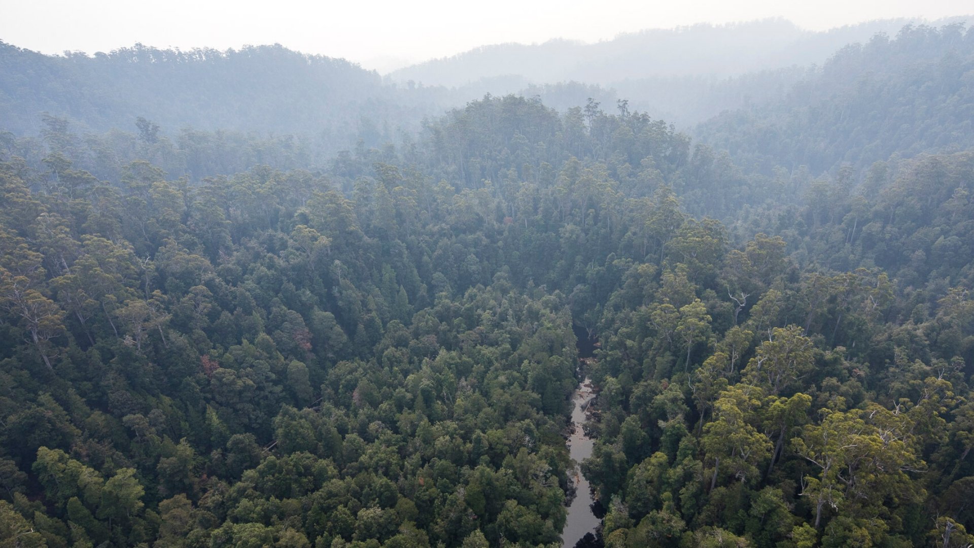The Tasmanian Government’s plan to log converted nature reserves