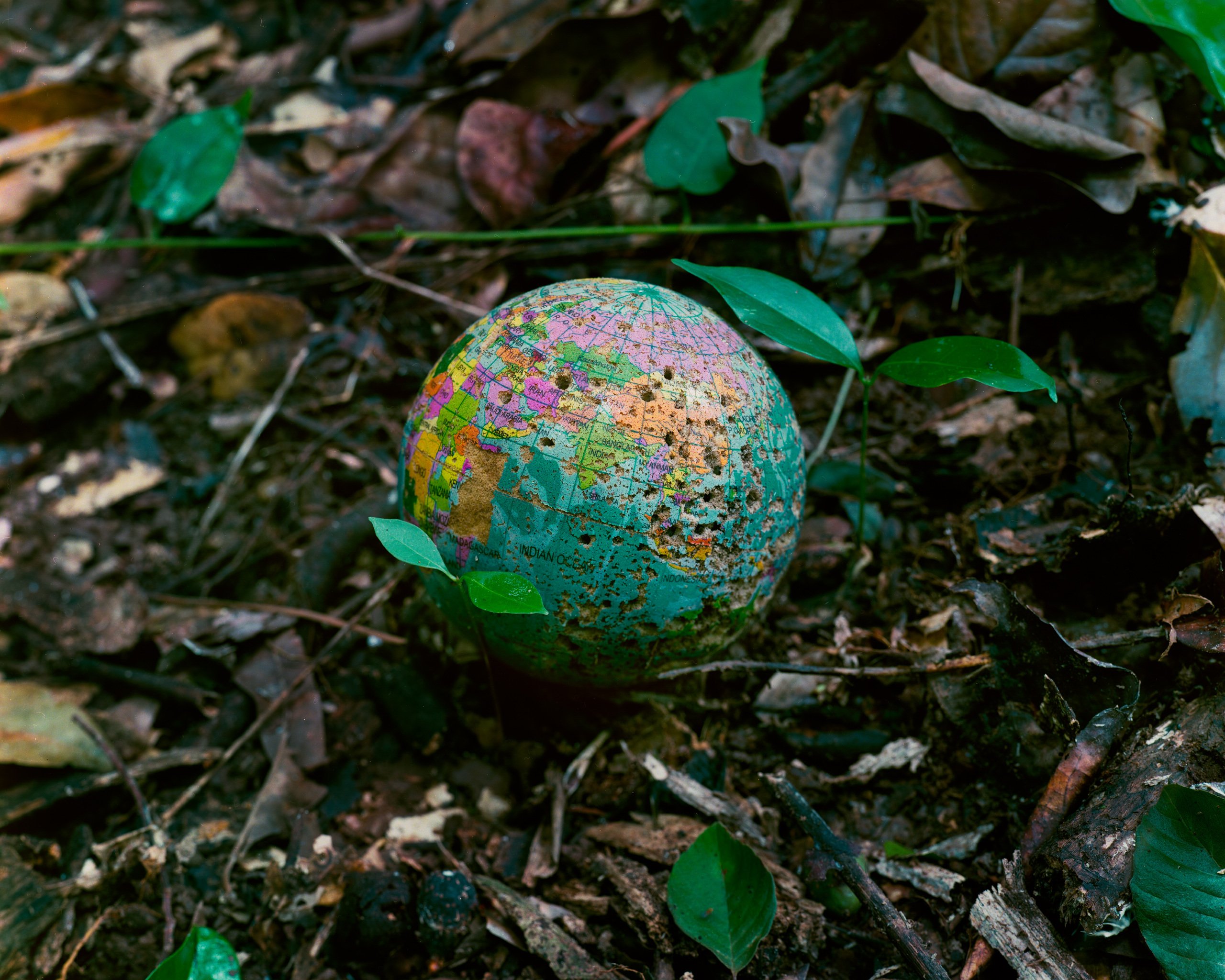 Wilderness Journal Issue #017